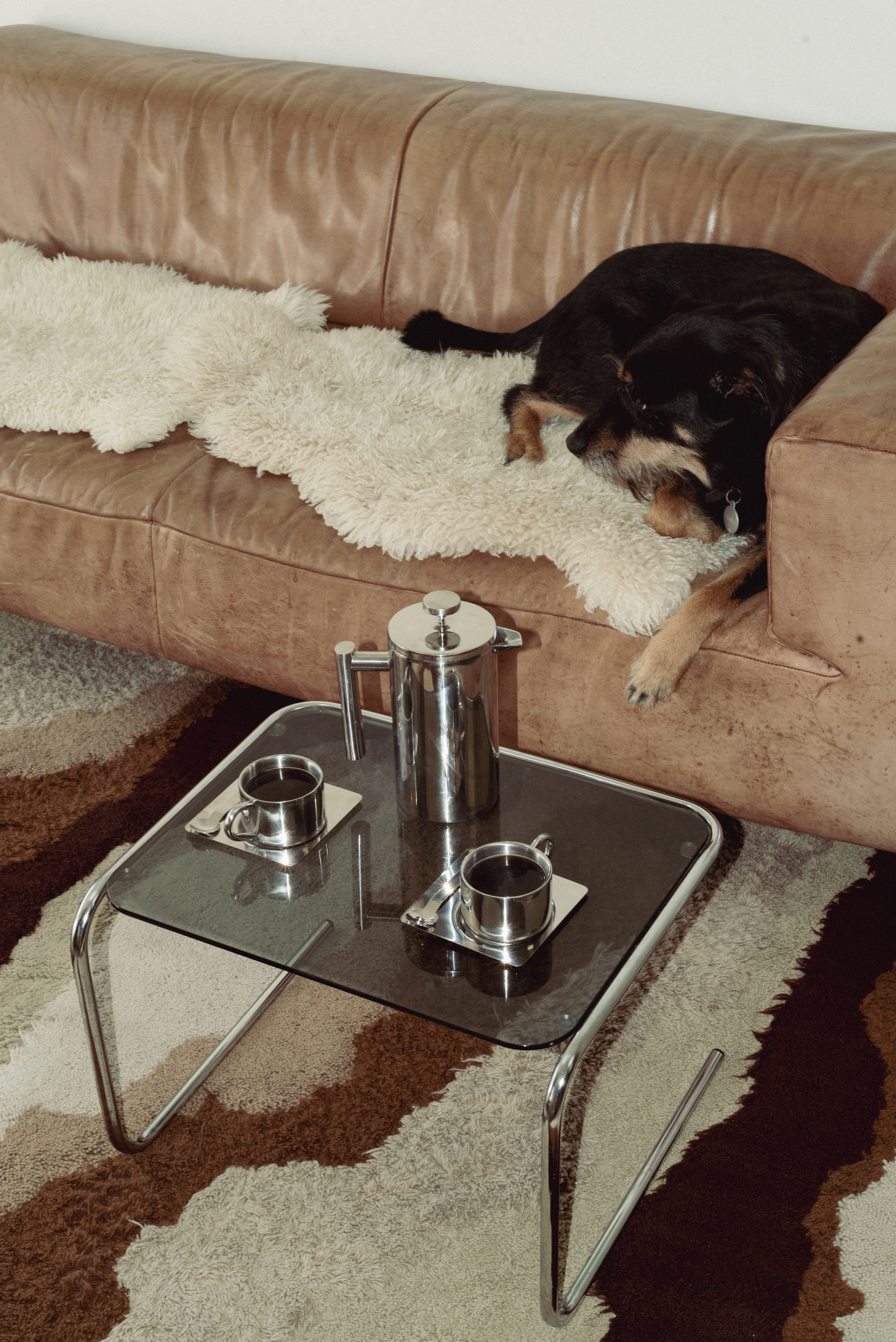 A low-angle view of a glass-topped coffee table set before a tan leather sofa with a cream sheepskin throw and a black-and-tan dog resting on it; on the table are two stainless steel cups on square trays with spoons, alongside a tall stainless steel French press.