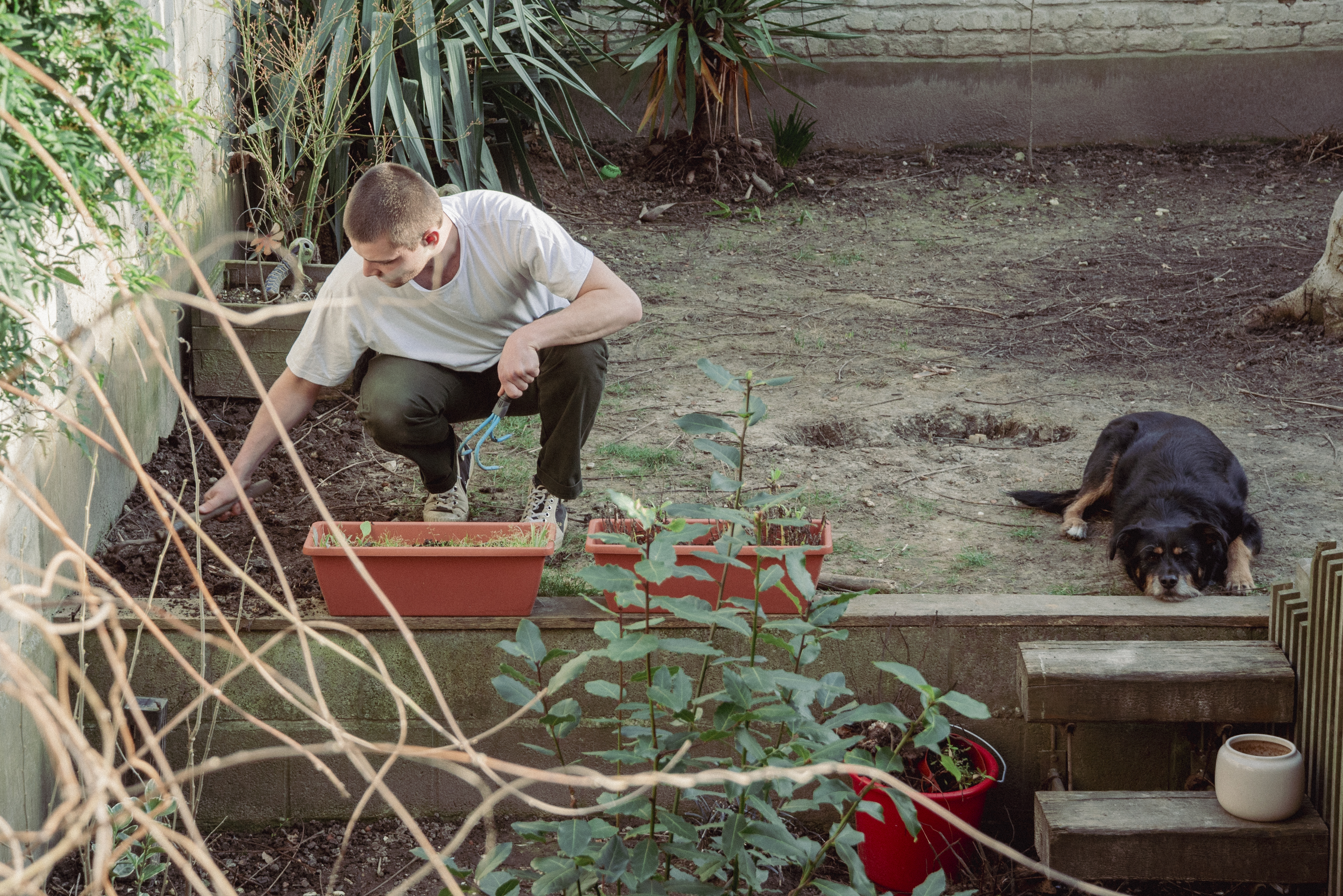 Nathan Naenen gardening next to his dog