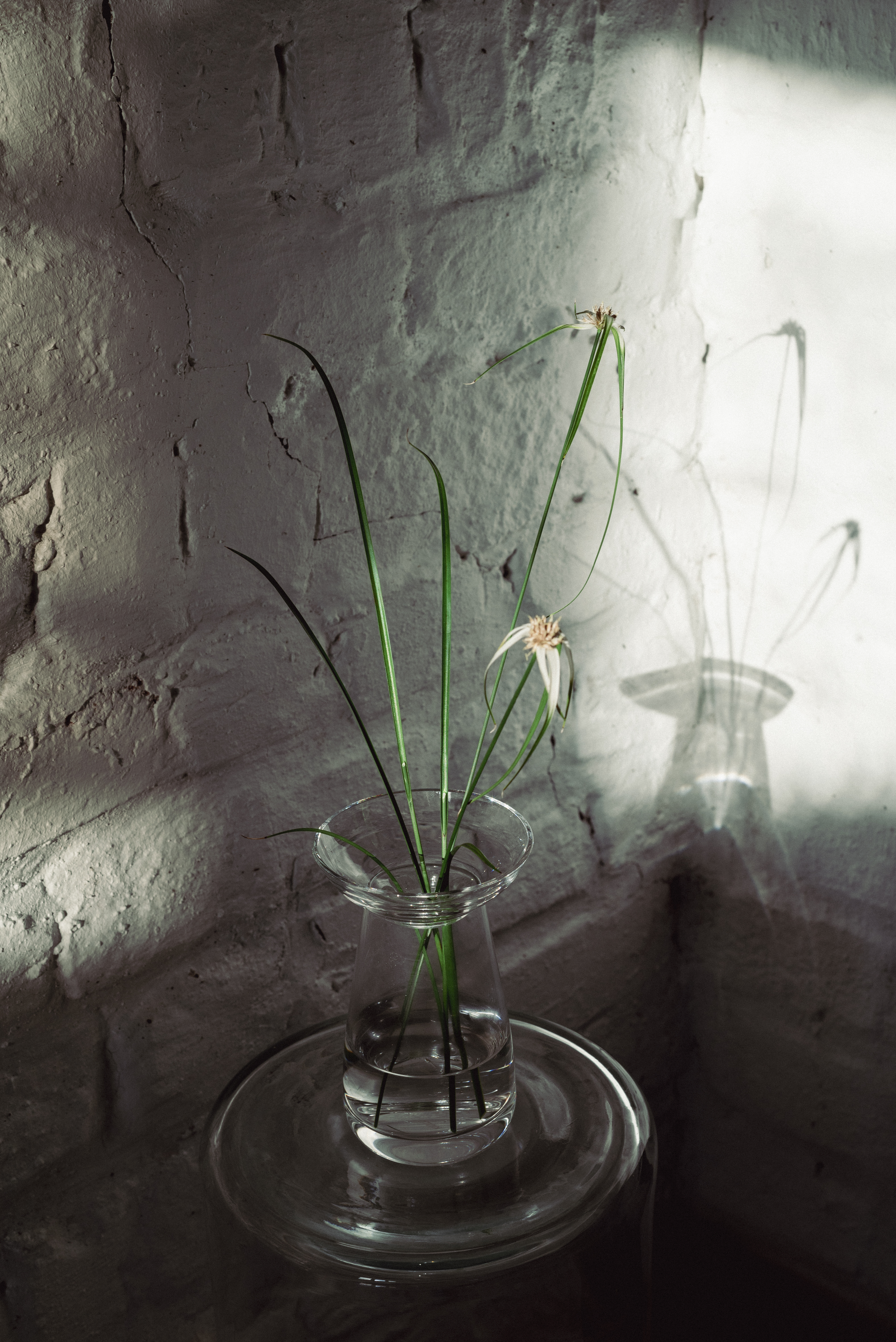 Beautiful floral arrangement done in a Kinto's Aqua culture Vase