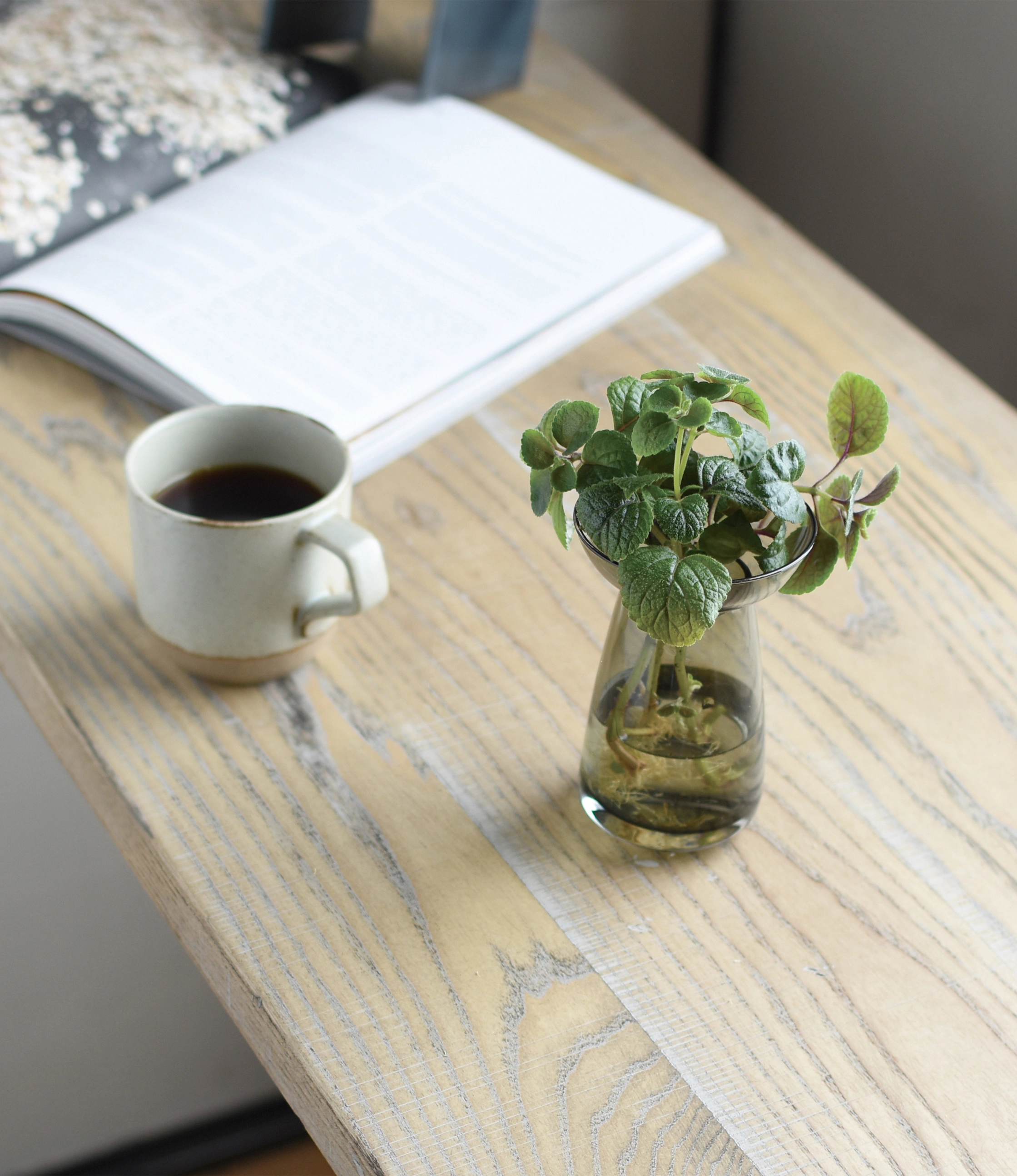 Aqua Culture Vase from Kinto is a vase to grow new plants. The vase consists of two pieces, a base and a dish for the top, which holds the bulbs, seeds or leaves. This variant has a dark, smokey gray color.