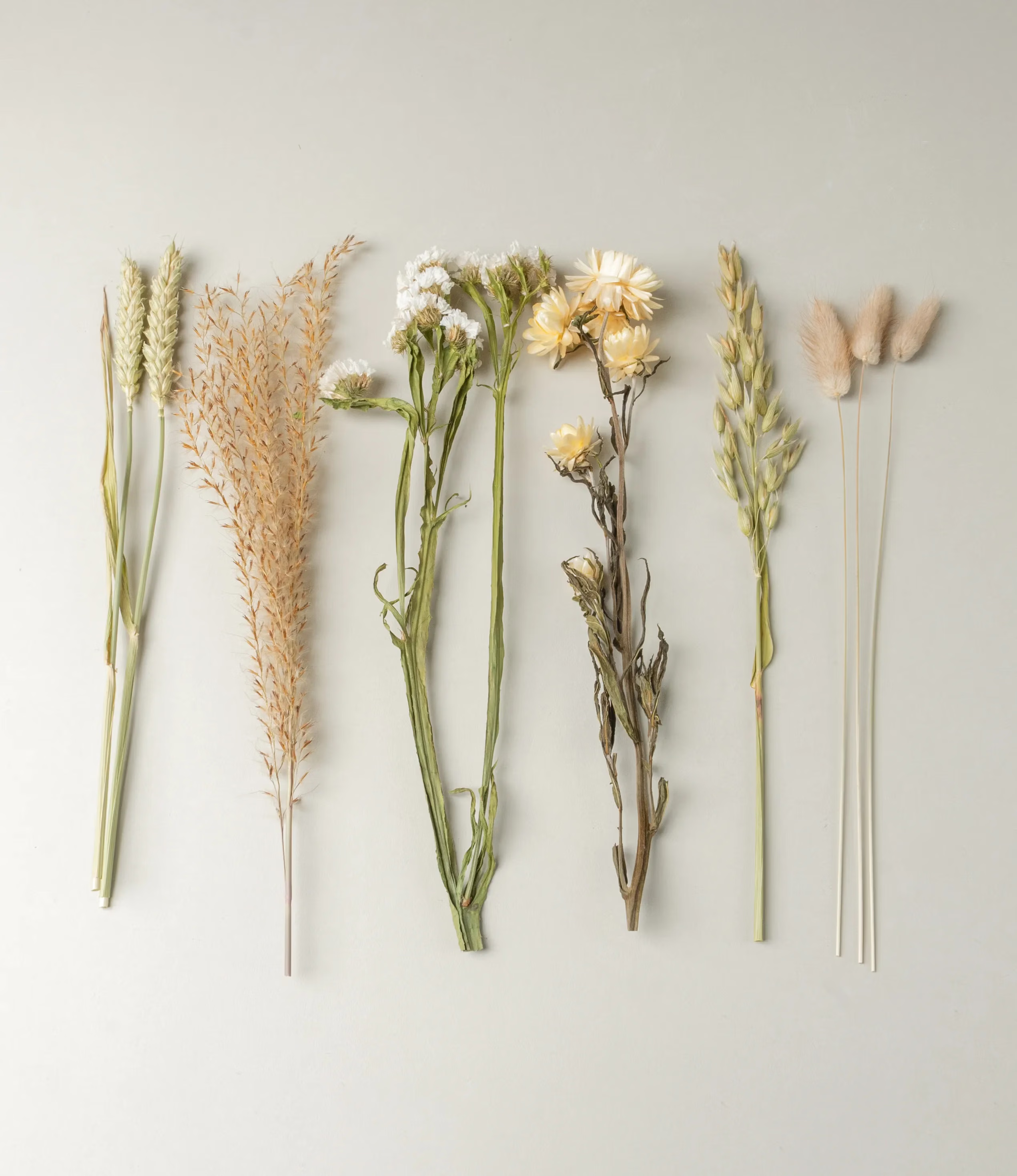 Dried flower bouquet in a neutral color hue. Fits perfectly any vase in any color. 